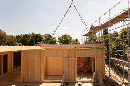 Key Challenges in Timber Projects — And Why Some Teams Feel Unprepared